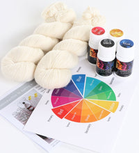 Load image into Gallery viewer, Ashford - Introduction to Dyeing