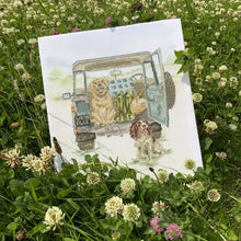 Load image into Gallery viewer, Bothy Threads -Cross Stitch Kits