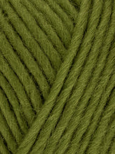 Load image into Gallery viewer, West Yorkshire Spinner - Retreat Chunky