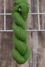 Load image into Gallery viewer, Susan Crawford - Excelana North