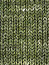 Load image into Gallery viewer, Arcane Fibre Works - Fingering