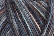 Load image into Gallery viewer, Regia - 6 Ply DK