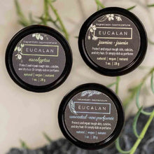 Load image into Gallery viewer, Eucalan