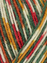 Load image into Gallery viewer, West Yorkshire Spinners (WYS) Signature 4 ply yarn, Christmas Special Yarns