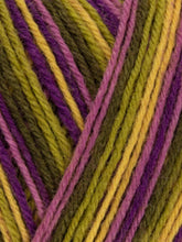 Load image into Gallery viewer, West Yorkshire Spinners 4 Ply Signature yarn