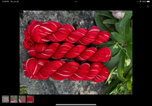Load image into Gallery viewer, Koigu - KPPPM