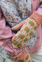 Load image into Gallery viewer, 52 Weeks of Chunky