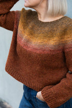 Load image into Gallery viewer, 52 Weeks of Scrap Yarn