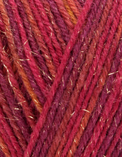 Load image into Gallery viewer, West Yorkshire Spinners (WYS) Signature 4 ply yarn, Christmas Special Yarns