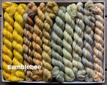 Load image into Gallery viewer, Koigu - Pencil Box