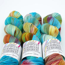 Load image into Gallery viewer, Townhouse Yarns- Clarendon Sock