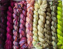 Load image into Gallery viewer, Koigu - Pencil Box
