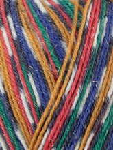 Load image into Gallery viewer, West Yorkshire Spinners (WYS) Signature 4 ply yarn, Christmas Special Yarns