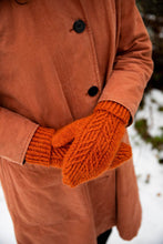 Load image into Gallery viewer, 52 Weeks of Accessories