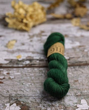 Load image into Gallery viewer, LITLG - Life in the Long Grass - Semi Solid