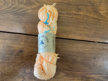 Load image into Gallery viewer, Madelinetosh - Sock