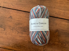 Load image into Gallery viewer, Arne & Carlos -Sock Yarn