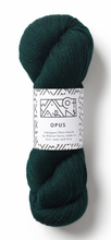 Load image into Gallery viewer, Walcot Yarns - Opus