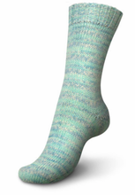 Load image into Gallery viewer, Regia - 6 Ply DK