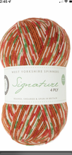 Load image into Gallery viewer, West Yorkshire Spinners (WYS) Signature 4 ply yarn, Christmas Special Yarns
