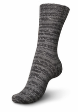 Load image into Gallery viewer, Regia - 6 Ply DK