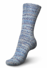 Load image into Gallery viewer, Regia - 6 Ply DK