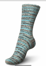 Load image into Gallery viewer, Regia - 6 Ply DK