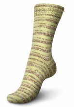 Load image into Gallery viewer, Regia - 6 Ply DK