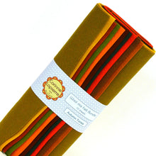 Load image into Gallery viewer, Corrine Lapierre - Felt Bundles