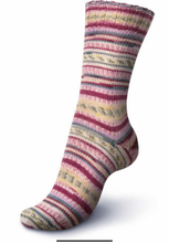 Load image into Gallery viewer, Regia - 6 Ply DK