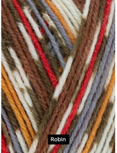 Load image into Gallery viewer, West Yorkshire Spinners (WYS) Signature 4 ply yarn, Christmas Special Yarns