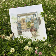 Load image into Gallery viewer, Bothy Threads -Cross Stitch Kits
