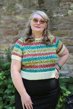 Load image into Gallery viewer, Susan Crawford - A Stitch in Time Vol. III

