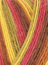 Load image into Gallery viewer, West Yorkshire Spinners 4 Ply Signature yarn
