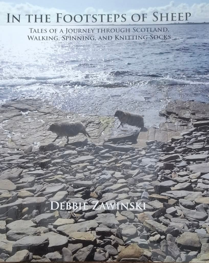 In the Footsteps of Seep - Debbie Zawinski