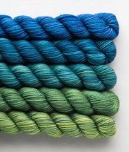 Load image into Gallery viewer, Sweet Georgia - Party of Five Mini Skein Set
