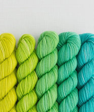 Load image into Gallery viewer, Sweet Georgia - Party of Five Mini Skein Set
