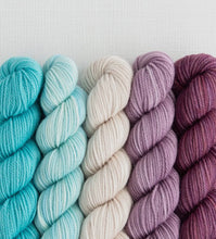 Load image into Gallery viewer, Sweet Georgia - Party of Five Mini Skein Set
