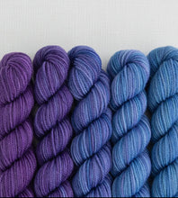 Load image into Gallery viewer, Sweet Georgia - Party of Five Mini Skein Set
