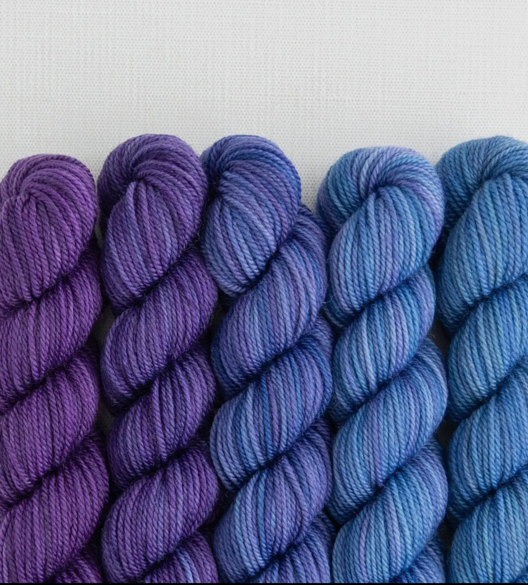 Sweet Georgia - Party of Five Mini Skein Set