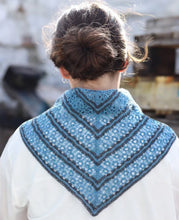 Load image into Gallery viewer, Shetland Wool Week 11
