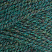 Load image into Gallery viewer, Stylecraft - Highland DK
