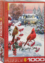 Load image into Gallery viewer, Eurographics - puzzles
