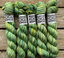 Load image into Gallery viewer, Koigu - KPPPM
