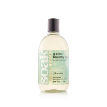 Load image into Gallery viewer, Soak - 375ml/12oz
