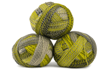 Load image into Gallery viewer, Schopenhauer Wolle - Crazy Zauberball
