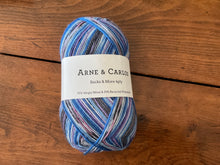 Load image into Gallery viewer, Arne &amp; Carlos -Sock Yarn
