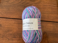 Load image into Gallery viewer, Arne &amp; Carlos -Sock Yarn

